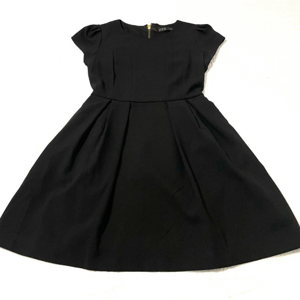 ZARA Black Short Sleeve  Mini Dress